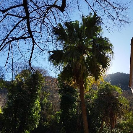 مبيت وإفطار Casa Bienvenida - Carcagente المظهر الخارجي الصورة