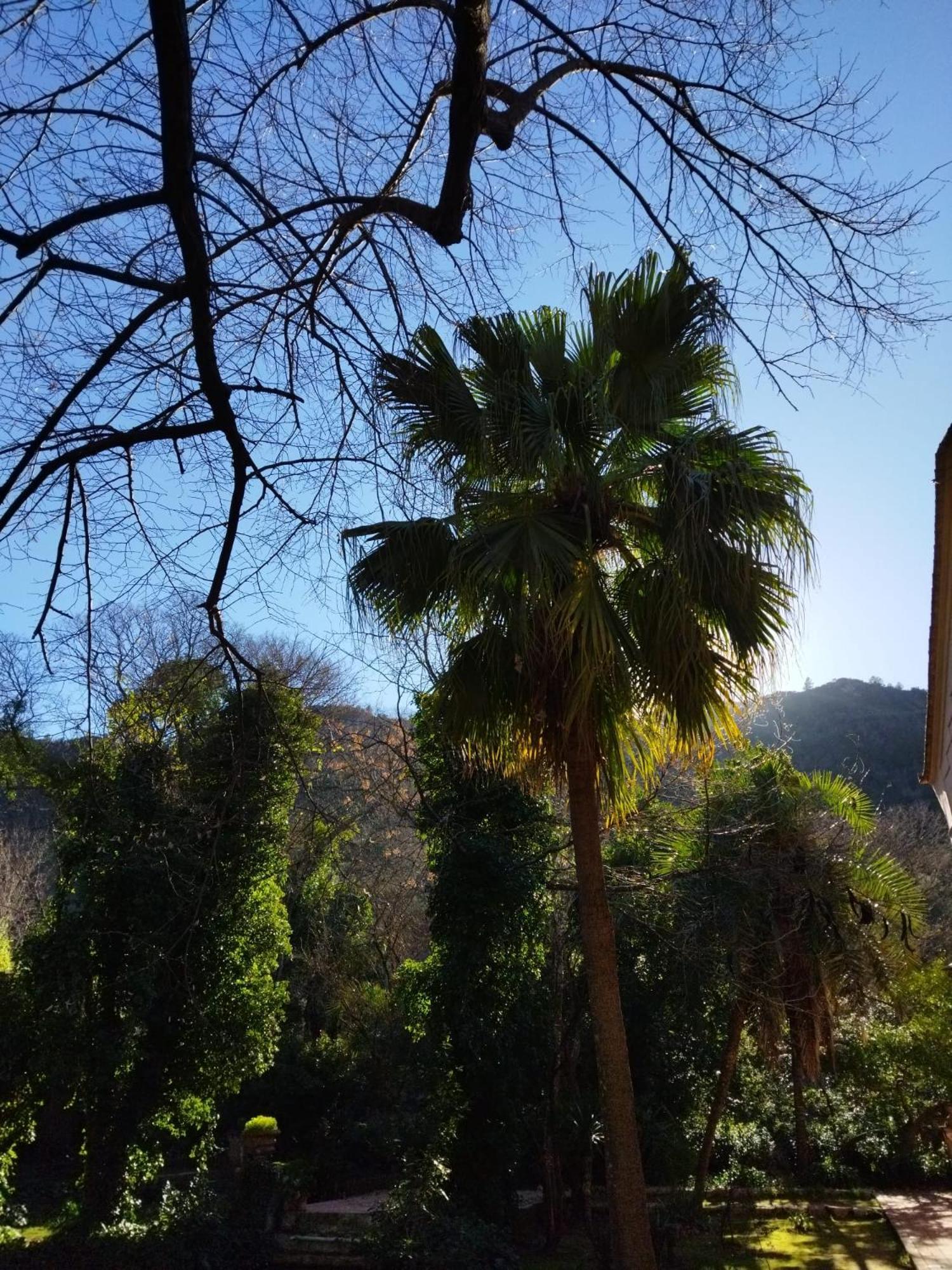 مبيت وإفطار Casa Bienvenida - Carcagente المظهر الخارجي الصورة